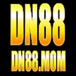 Dn88 mom