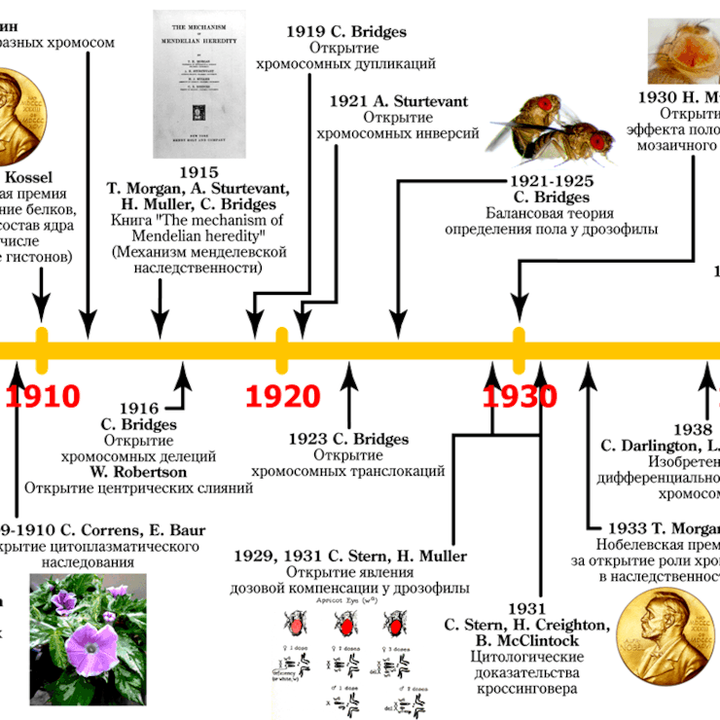 100 лет хромосомной теории наследственности (1915–2015)