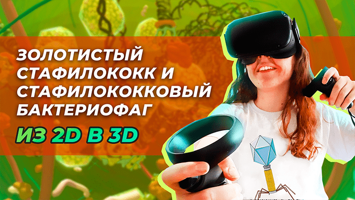 Золотистый стафилококк и стафилококковый бактериофаг из 2D в 3D