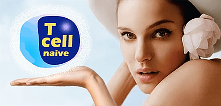 Наивные Т-клетки — ключ к долголетию
