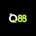 Q88 art