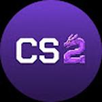 Cs2skin Market