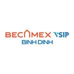 Đất nền Becamex Bình Định