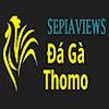 Đá Gà Trực Tiếp Thomo