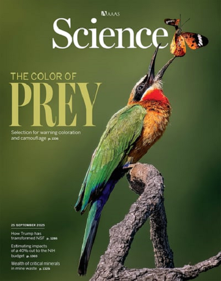 SciNat за сентябрь 2025 #4: долгая жизнь детей голодной нематоды, минимальная жилая площадь пчел и регуляция сплайсинга