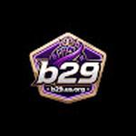 B29 us org