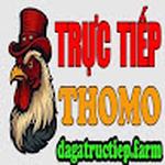 ĐÁ GÀ TRỰC TIẾP FARM