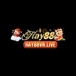 1Haywin Soccer
