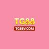 Tg88v com