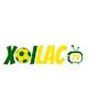 xoilac.co uk gia mao
