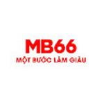 MB66 Feedback