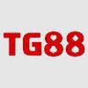tg884 com