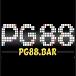 pg88bar@outlook.com