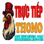 ĐÁ GÀ TRỰC TIẾP THOMO HÔM NAY