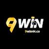9Win44 co