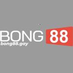 Bong88 Gay