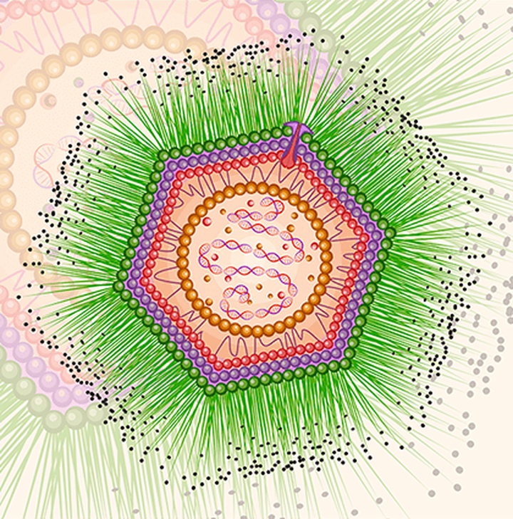 Гиганты вирусного мира