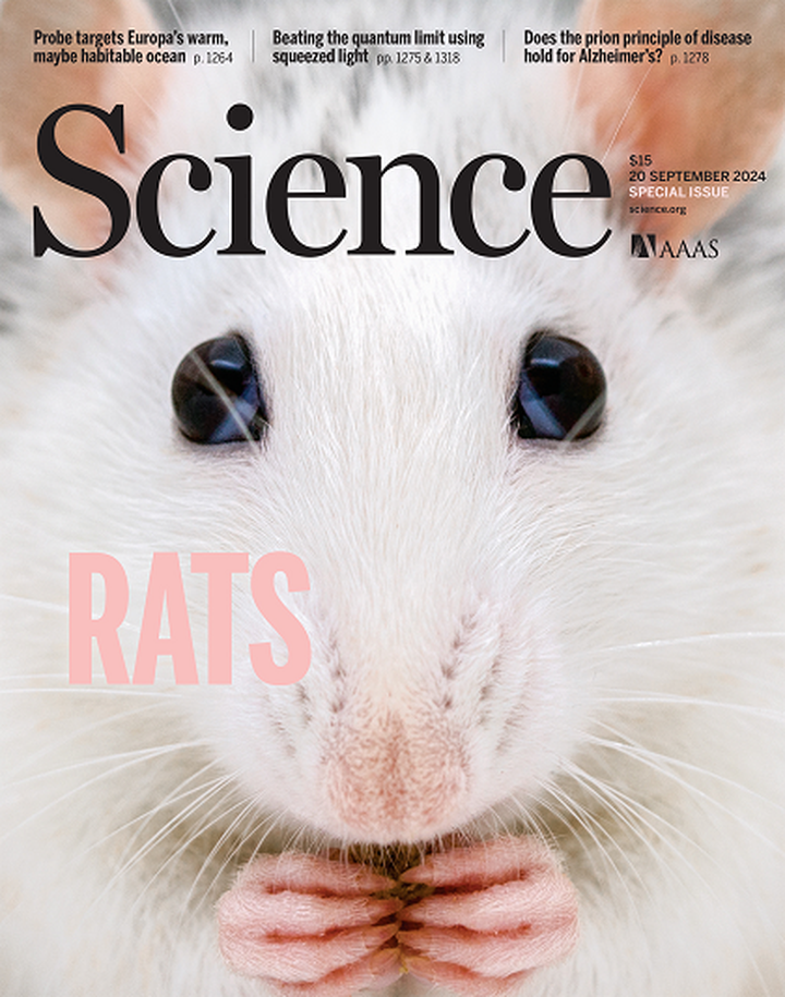 SciNat за сентябрь 2024 #4: искусственные кинетохоры, недооцененные нейроны и возвращение блудного белка