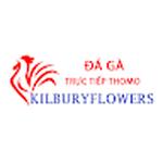 Đá Gà Trực Tiếp Thomo