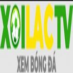 anactoflovefilm com giả mạo