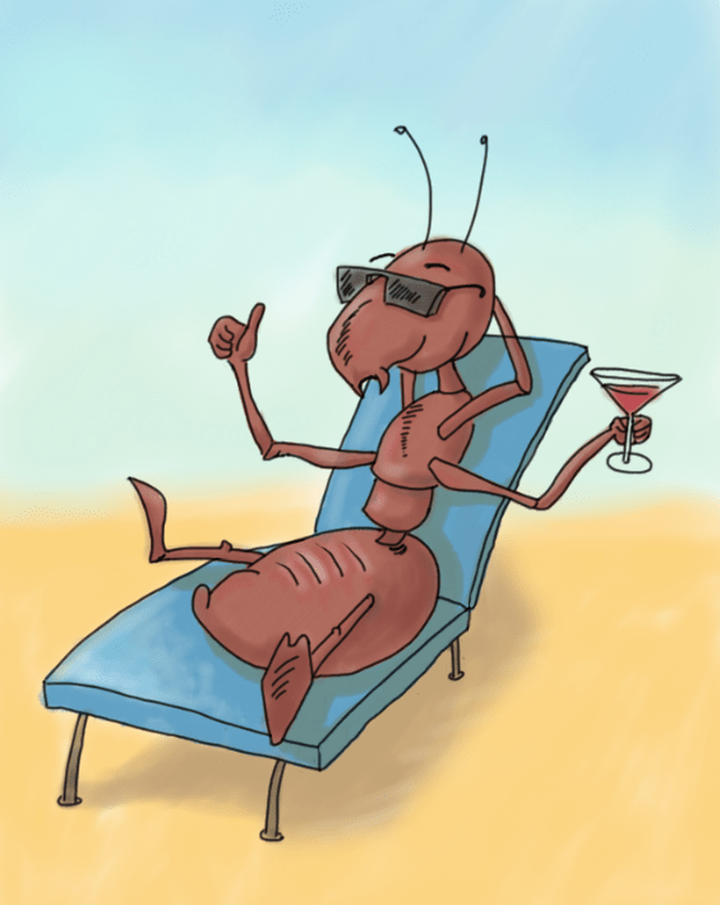 Трудится, как муравей? Ленится, как муравей!