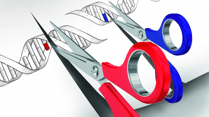 Найдены системы CRISPR, использующие обратную транскрипцию