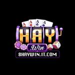 Haywin it com