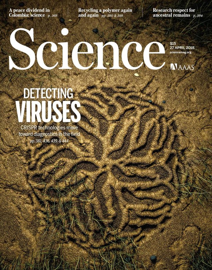 SciNat за апрель 2018 #4: родословная митохондрий, тайны регенерации плоских червей и детальная карта раннего развития позвоночных