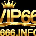 vip666info
