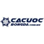 Cá Cược Bóng Đá