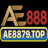 ae8879 top