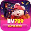 Bv789 tech