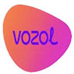 Vozol Store