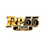 Portal Game RP55