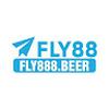 Fly888 beer