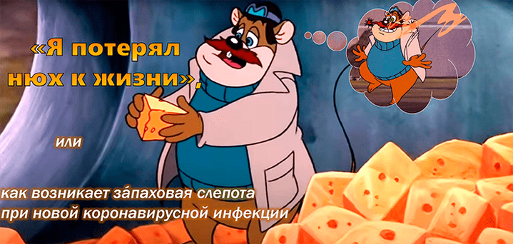 «Я потерял нюх к жизни…», или Как возникает зáпаховая слепота при новой коронавирусной инфекции
