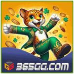 365gg us