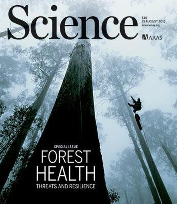 SciNat за август 2015 #4: агрессивные клетки-победительницы, белые вороны сетчатки, регуляция регуляции сплайсинга