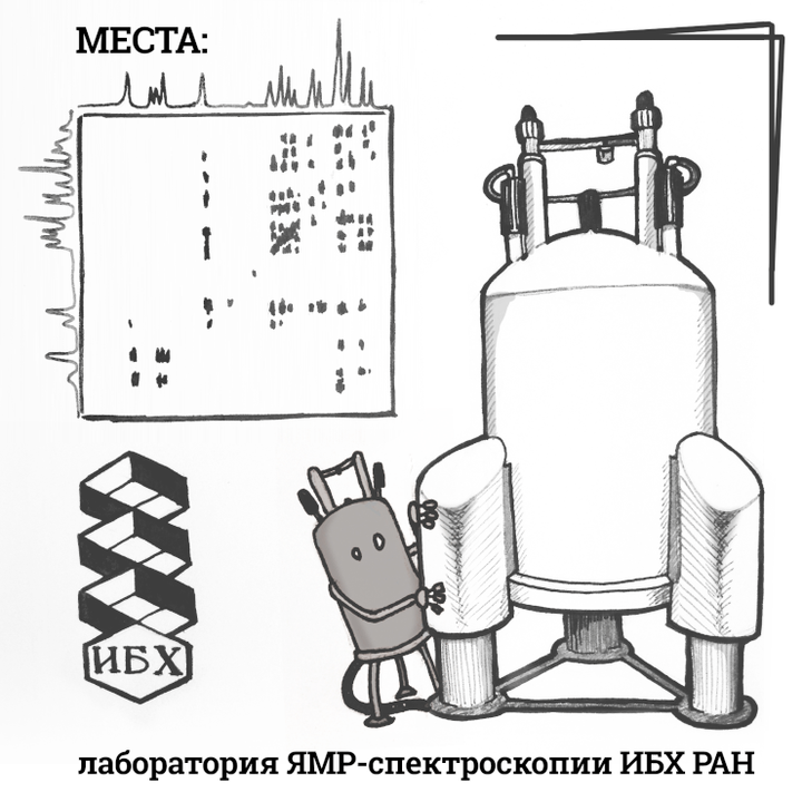 Сверхпроводящие магниты и рецепторы биомембран: Лаборатория биомолекулярной ЯМР-спектроскопии ИБХ РАН