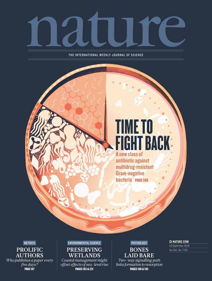 SciNat за сентябрь 2018 #3: мыши в виртуальной реальности, псевдо-нервная система растений и новый класс антибиотиков для борьбы с грамотрицательными бактериями
