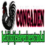 ĐÁ GÀ TRỰC TIẾP BEDRI