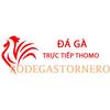 khongdaubangonhaminh91@gmail.com