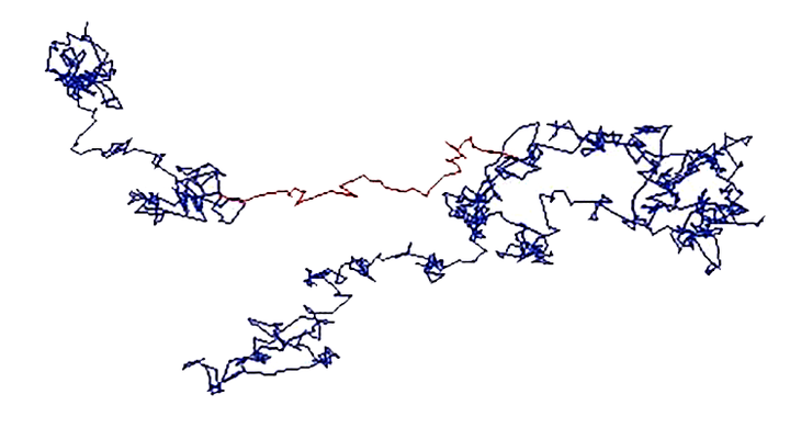 Направленное движение или бесцельное блуждание?