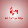 Đá gà trực tiếp
