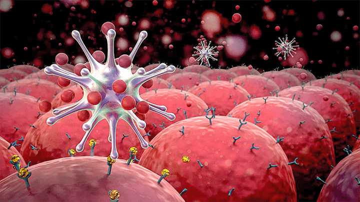 Лектины — новые инструменты в диагностике и терапии злокачественных опухолей