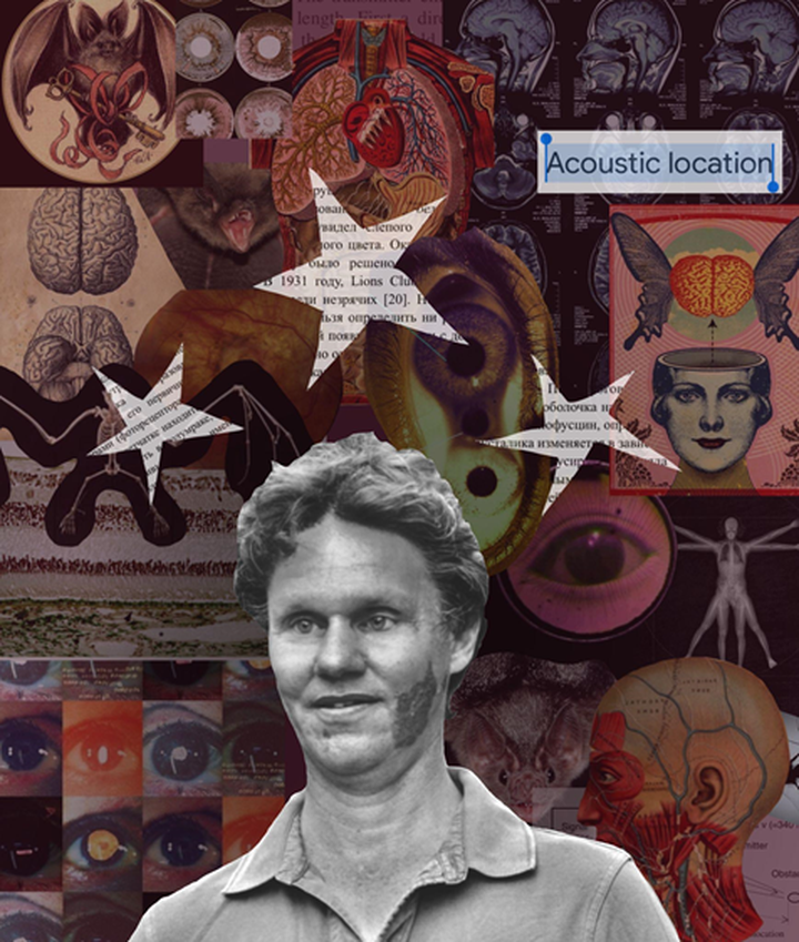 Кто тут настоящий Бэтмен? Истории людей, получивших способности летучих мышей