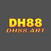 DH88 art