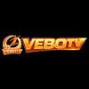 vebotv work