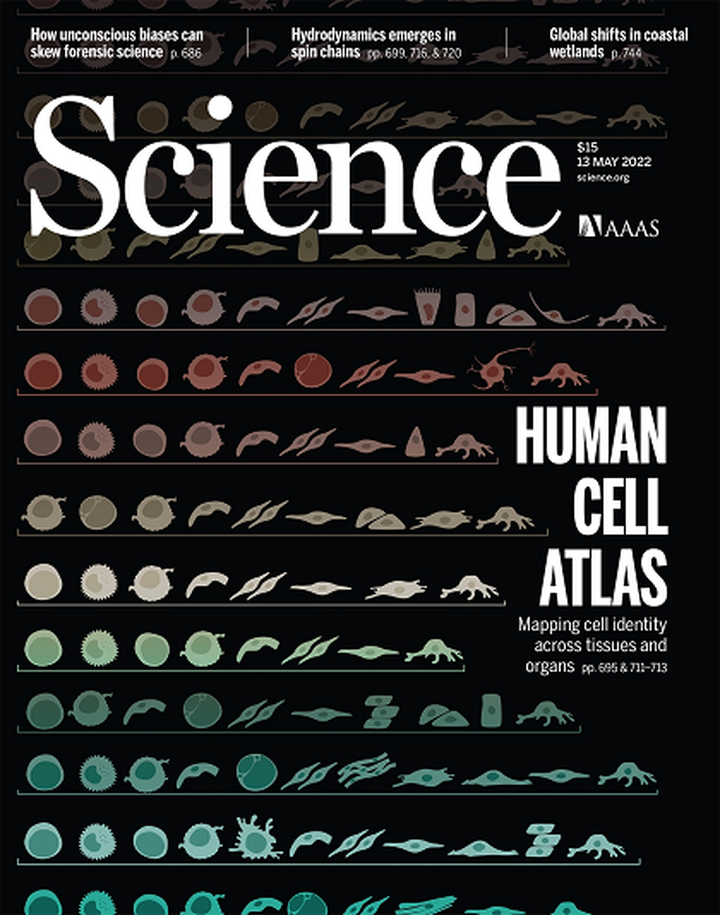 SciNat за май 2022 #3: эволюция биомолекул, таинственные алкалоиды и нестареющие нейроны