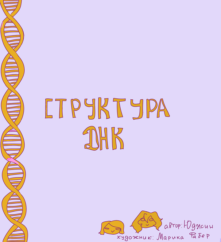 Структура ДНК